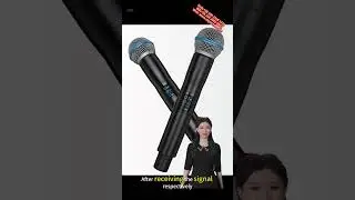 Dual True Diversity Wireless System R8 Microphone