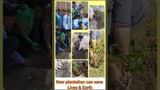 Plantation can save our lives & earth #shorts #save #plantation #life