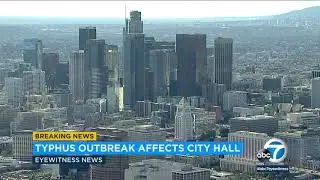 Typhus outbreak in LA prompts officials to rip out carpets at City Hall | ABC7