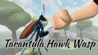 Tarantula Hawk Wasp | Roblox