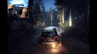 Ford Fiesta R5 MKII Flat Out in Finland 🇫🇮 | Dirt Rally 2.0 | G920 Wheel POV | Jyrkysjärvi