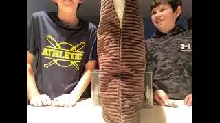 Blind object challenge (bro said the same thing twice)😭