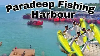 ll Paradeep Fishing Harbour in Telugu ll Drone view of Harbour ll Indian Rider's ll M.V - 12 ll