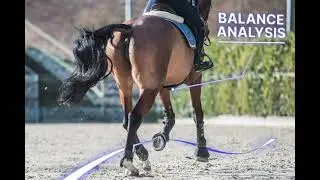 Alogo Move Pro Flagship feature #5: Balance Analysis