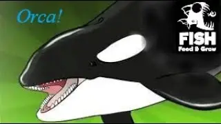 The Mighty Orca!  (Feed & Grow  Fish Ep1)