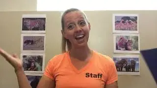 Wednesday Giraffe activities 3-5 year olds