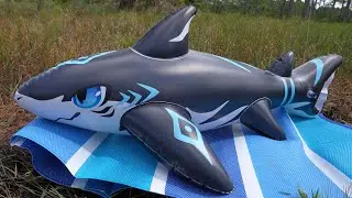 Miniature Inflatable Shark Pool Toy from Imaginary Creature Factory