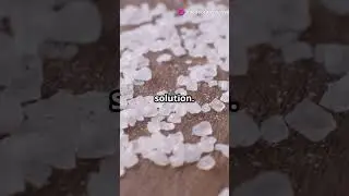 How Salt Melts Snow: The Science Behind It! #winter #snow #ice #salt #melting #icemelt #uk #ussr #ai