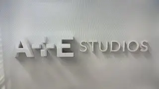 Grumpy Cat Limited/Lifetime/A&E Studios/A&E Networks International(2014) Logo