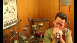 ElectroVoice EV 630 Vintage H-Z Dynamic Harp Mic with Cable