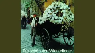 Zwa Fiedeln, a Klampfn, a Maurerklavier