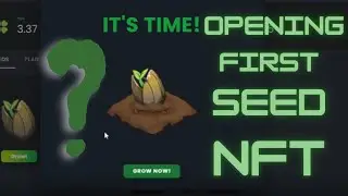 Plants versus undead opening first seed NFT play to earn game and profit building