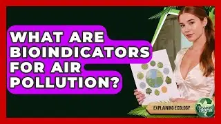 What Are Bioindicators For Air Pollution? - Explaining Ecology