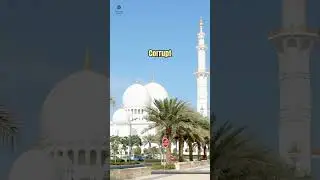 Purify Your Heart, Purify Your Life #shorts #islamicshorts #motivation  #usa #islam