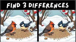 Test Your Skills With Amazing Spot The Difference Puzzles (Challenging)
