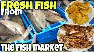 Buying Fresh Fish At The Fish Market In Florida| Two Bills// Cooking Escovitch Fish And Festival