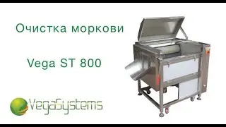 Очистка моркови Vega STF 800, очистка корнеплодов