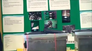 Testing How Fast Biodegradable Items Decompose