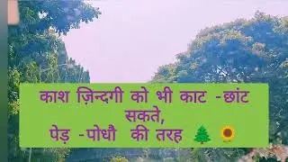 ज़िंदगी#hindipoetry #emotionalpoetry#dard#brokenbutbeautiful #zindagi#unsaidfeelings#poetrychannel#🌿