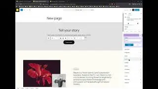 Gutenberg block styles plugin - Neurogenesis Styler