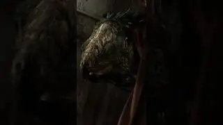 Veractyls - Star Wars Creatures Explained Fast