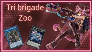 Tri Brigade Zoo - Wipe The Field With AA Zeus!! [Yu-Gi-Oh Master Duel]