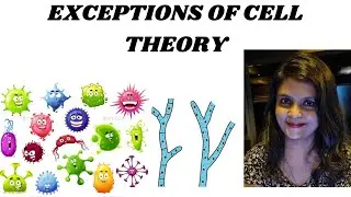 GRADE XI BIOLOGY|CELL:THE UNIT OF LIFE|EXCEPTIONS TO CELL THEORY|NEET|CBSE|ICSE