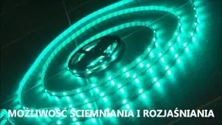 Taśma LED RGBW