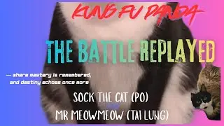 LIVE 🐼🥋 Sock the Cat (Po) vs Mr MeowMeow (Tai Lung) | The Battle Replayed | Kung Fu Panda&ndash;Style Fi