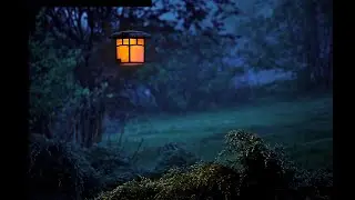 Nuit dans la campagne. Insectes, ambiance nocturne. Trouvez le sommeil facilement et rapidement.