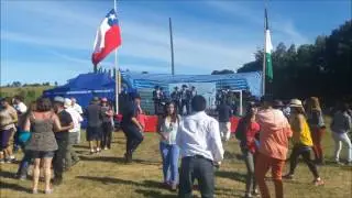 Los S&uacute;per Indomables De Chile - Isla Maillen - En vivo