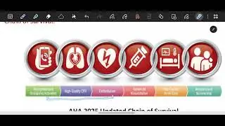 L1,2 ICU : Basic Life Support / BCS 44