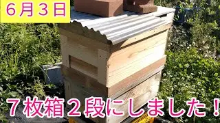 7枚箱を継箱して、ようやく2段にしました！