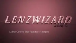 Labels N Stars