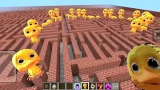 Crying DUCK in GMOD Minecraft PE
