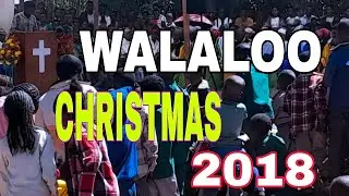 Walaloo Afaan Oromoo 