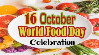 World Food Day Celebration | 16 October 2023 | Hunger | World Problem | Health issues | #Poverty