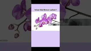 What this Flower Called.? 🌷🏵️🌹#quiz #englishlearning #ielts #facts #flowers #names