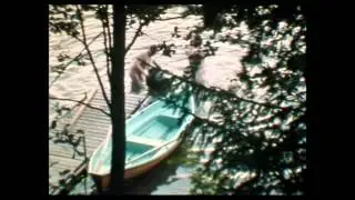 Finnland 1981