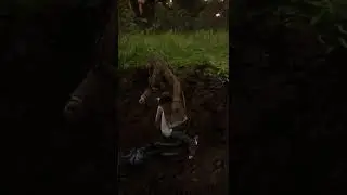 This is Just One Of The Many Terrible Experiences in Lemoyne - Red Dead Redemption 2