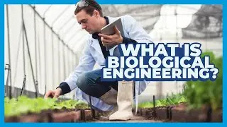What is Biological Engineering? | The sustainable major solving food, water and energy challenges