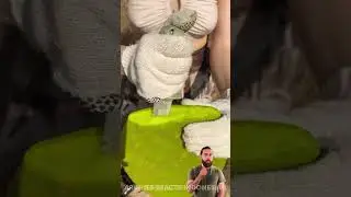 Tas Air Kaktus &ndash; Bertahan Hidup di Gurun DIY 🌵💧 oleh Archie5 Reacts