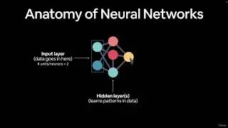 Anatomy of Neural Networks | A Comprehensive Overview of Structure, Function, and Applications