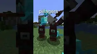 What Is The Vex In Minecraft?
