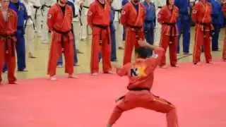 Creative Form Black Belt Panel Presentation