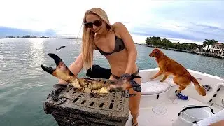 STONE CRABBING Almost got PINCHED!