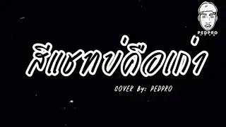 สีแชทบ่คือเก่า - PEDPRO| Original: เบนซ์ ปรีชา