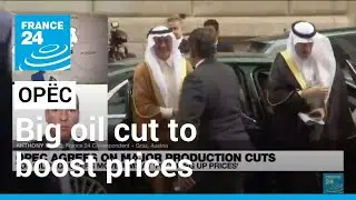 OPEC+ makes big oil cut to boost prices, pump costs may rise &bull; FRANCE 24 English