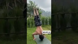DOUBLE MUSCLE in PUBLIC, #musclemenindononesia #muscleman #fitnesscenter #gym