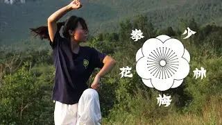 Shaolin Plum Blossom Fist (Mei Hua Quan) &ndash; performed by Tu Hua
